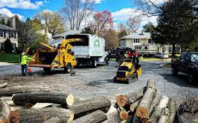 Best Hazardous Tree Removal  in Penn Yan, NY