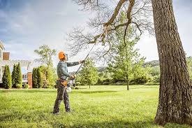 How Our Tree Care Process Works  in  Penn Yan, NY